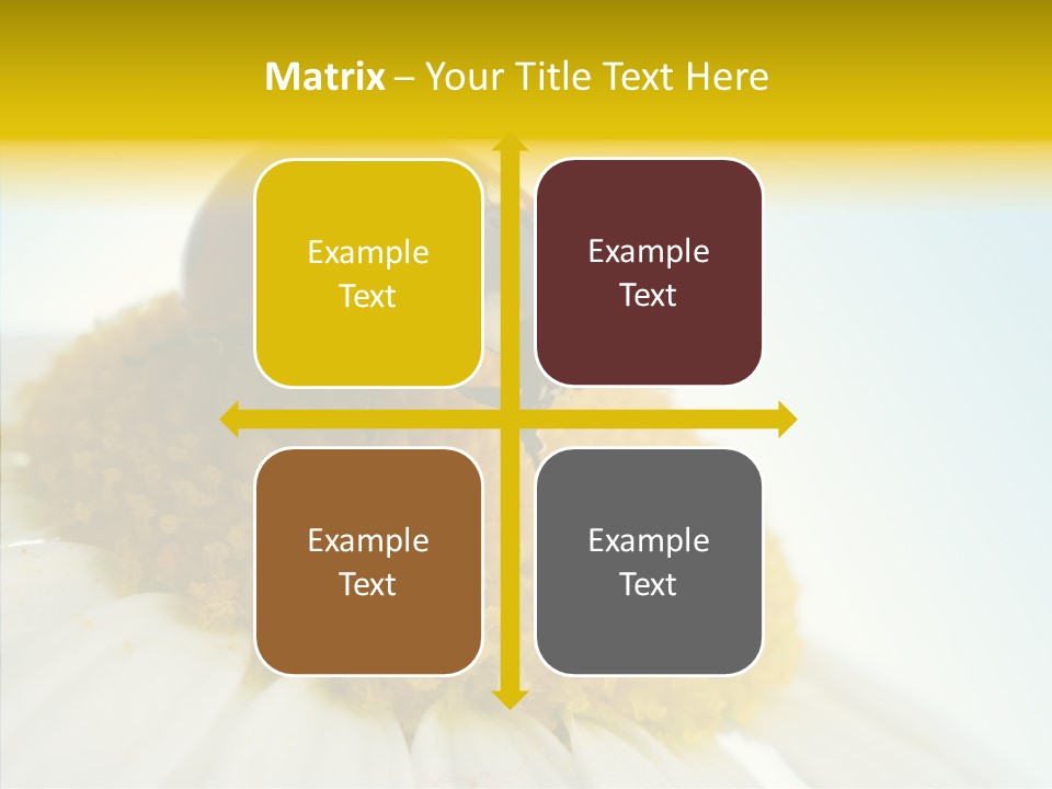 Nature Macro Colored PowerPoint Template