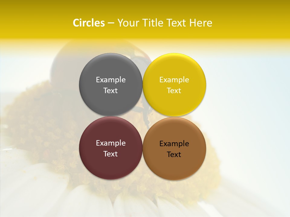 Nature Macro Colored PowerPoint Template
