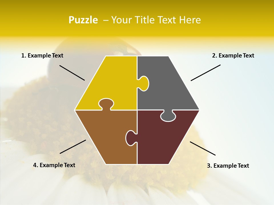 Nature Macro Colored PowerPoint Template