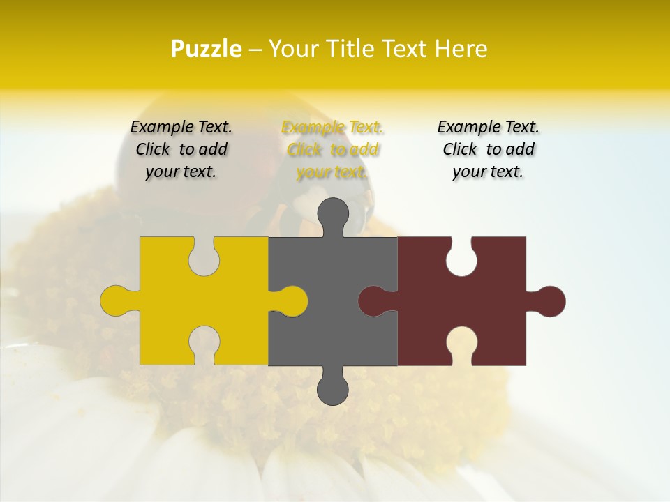 Nature Macro Colored PowerPoint Template