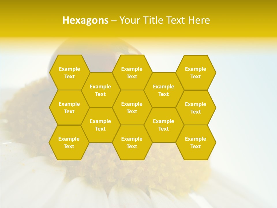 Nature Macro Colored PowerPoint Template