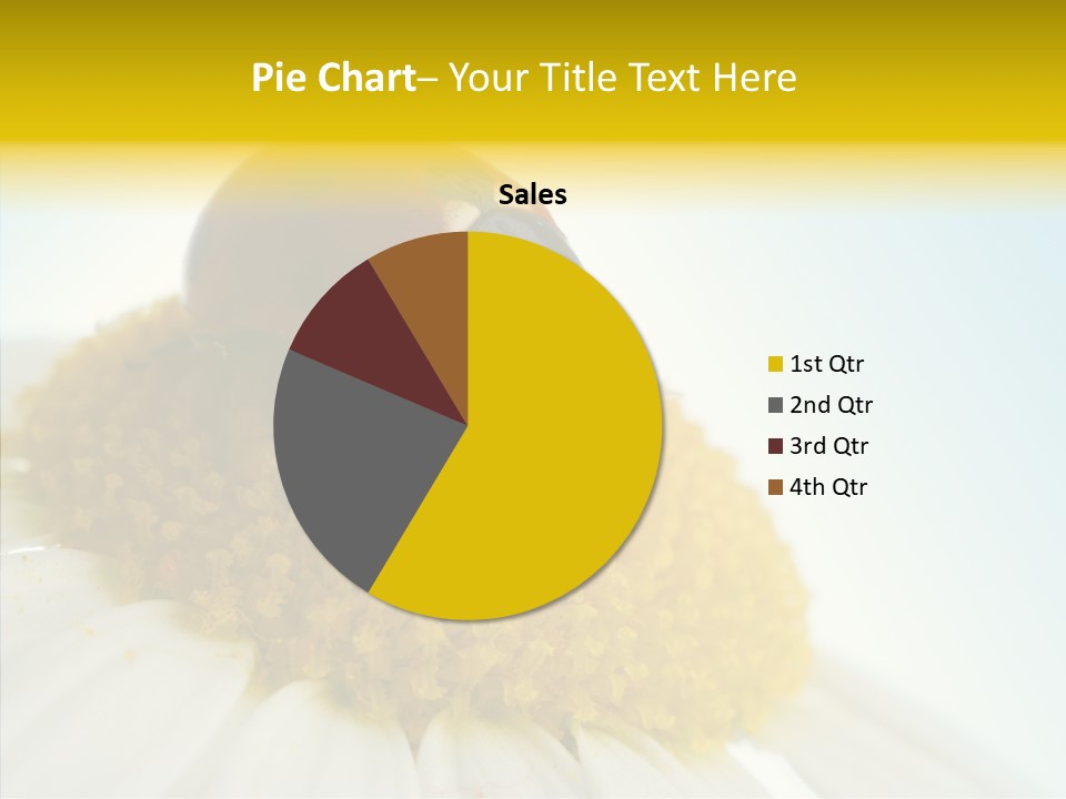 Nature Macro Colored PowerPoint Template