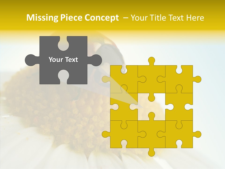 Nature Macro Colored PowerPoint Template