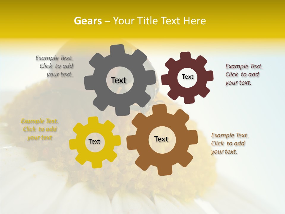 Nature Macro Colored PowerPoint Template