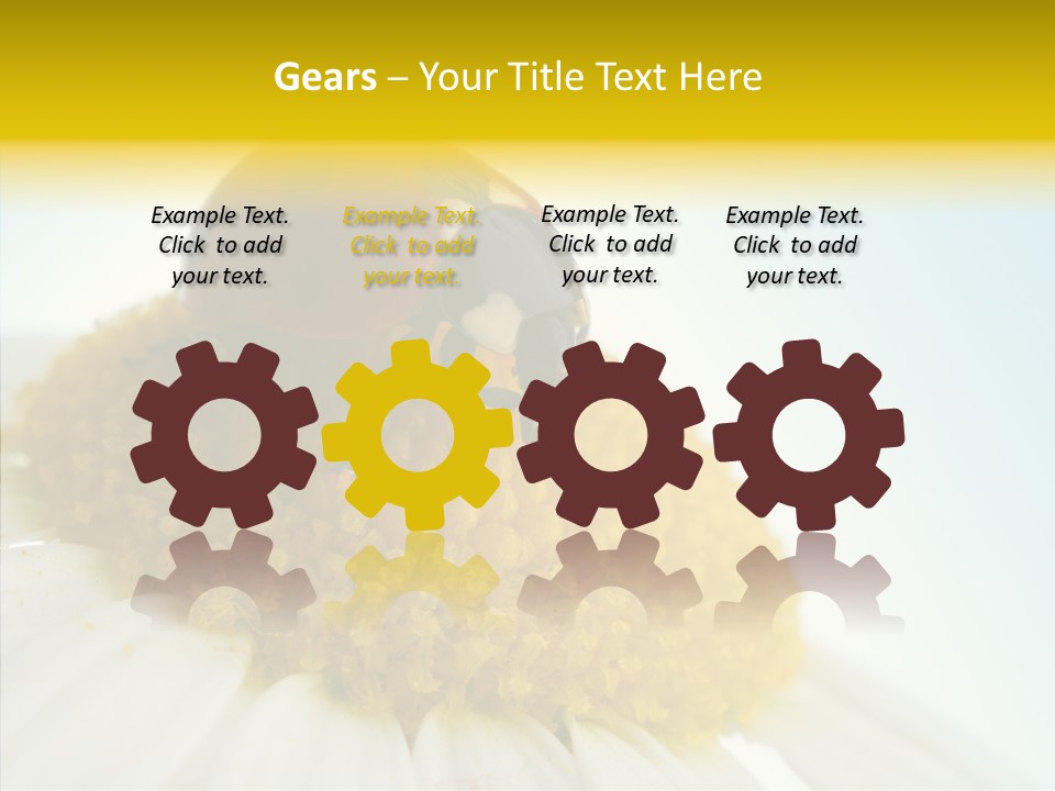 Nature Macro Colored PowerPoint Template