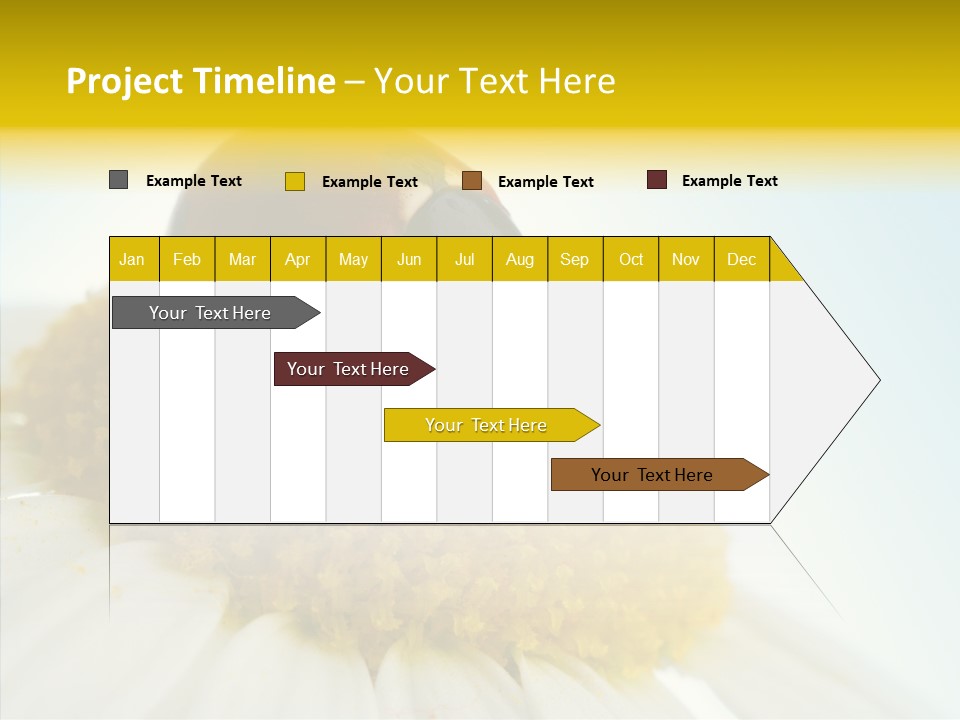 Nature Macro Colored PowerPoint Template