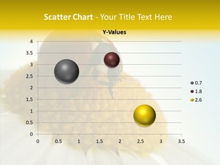 Nature Macro Colored PowerPoint Template