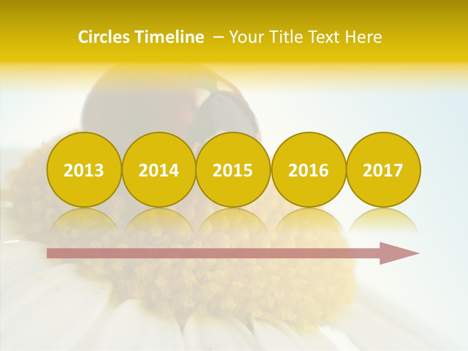 Nature Macro Colored PowerPoint Template