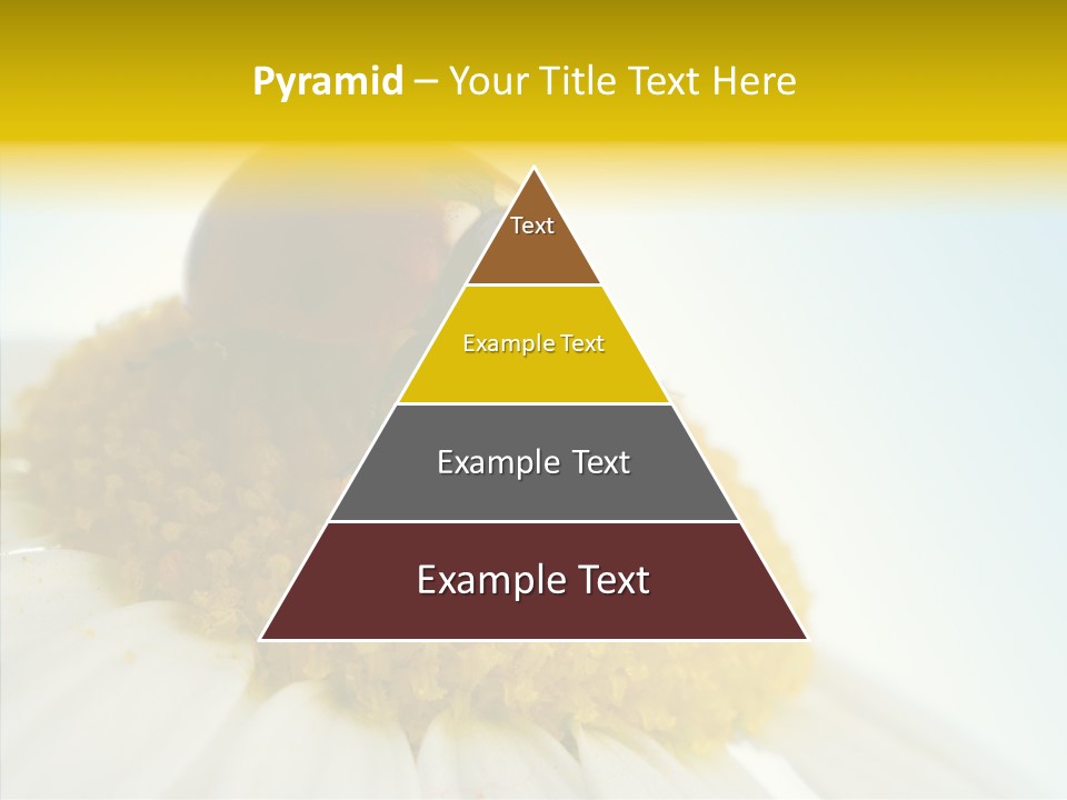 Nature Macro Colored PowerPoint Template