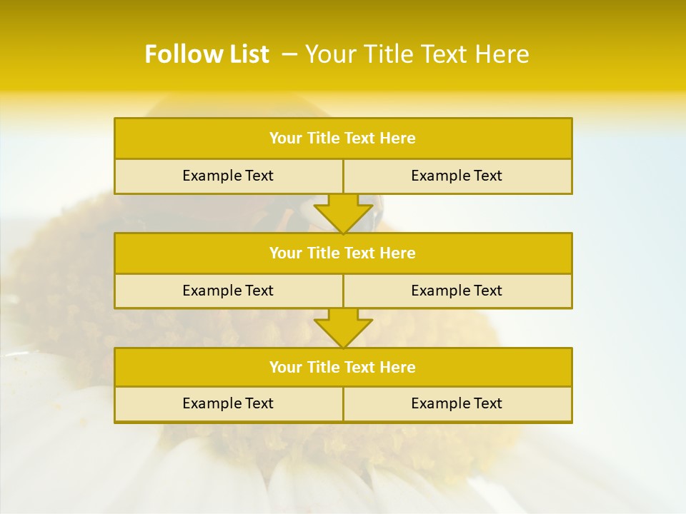 Nature Macro Colored PowerPoint Template