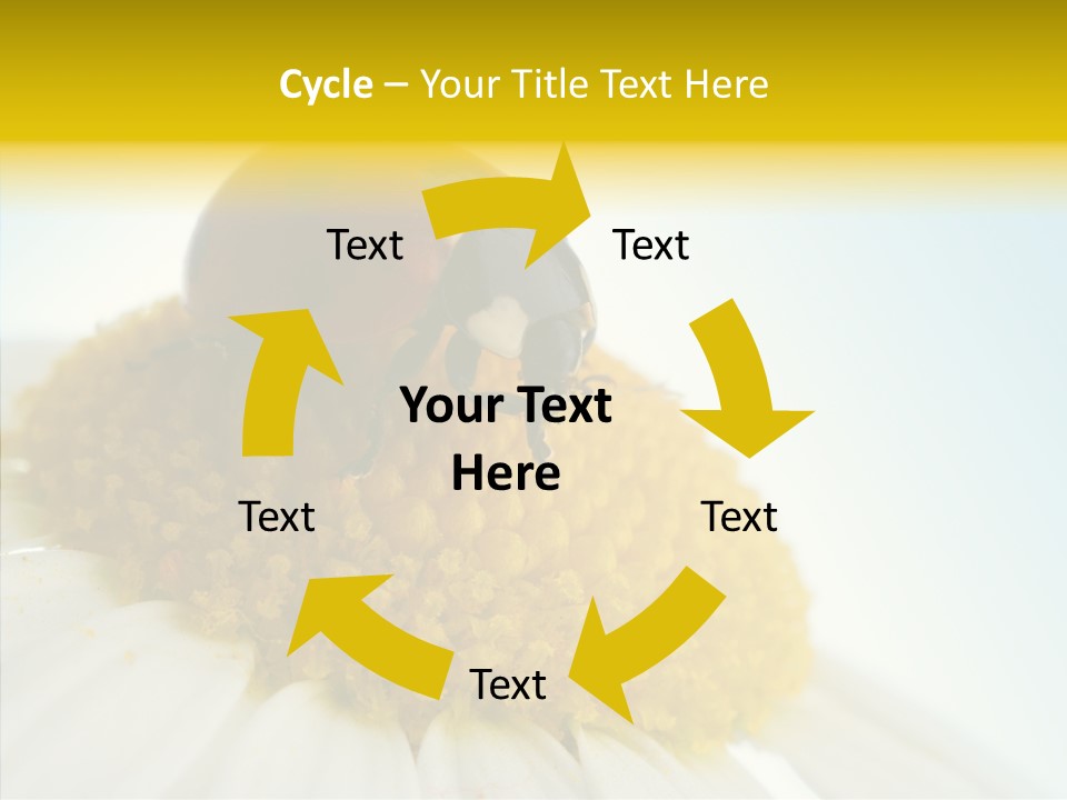 Nature Macro Colored PowerPoint Template