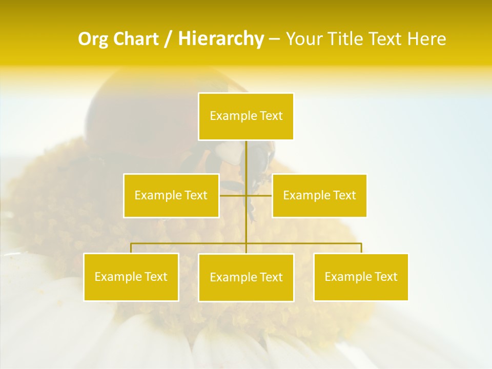 Nature Macro Colored PowerPoint Template
