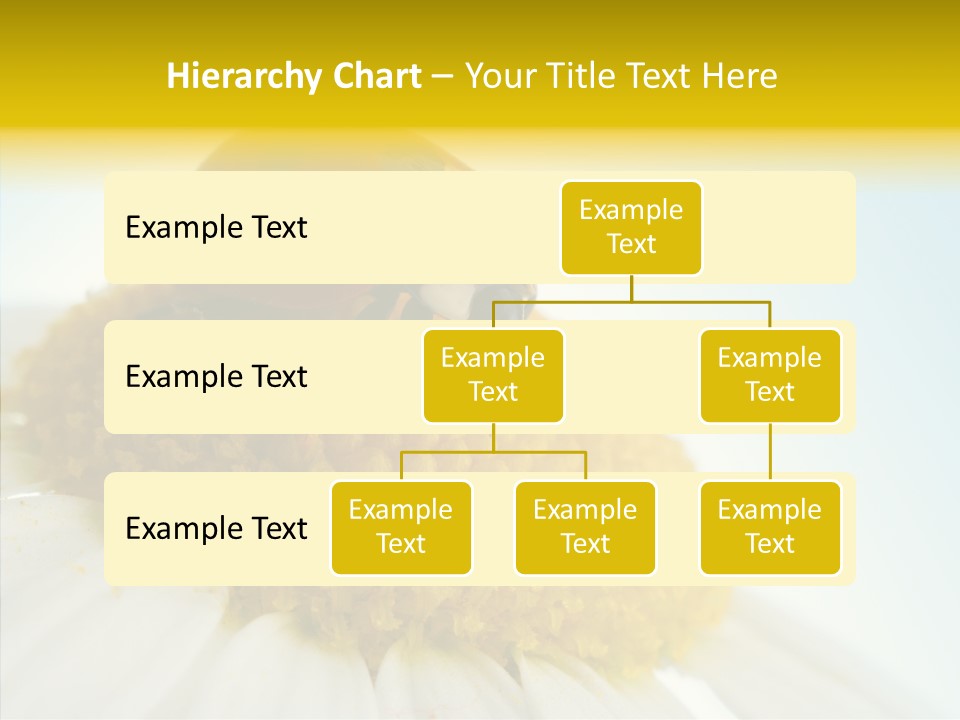 Nature Macro Colored PowerPoint Template