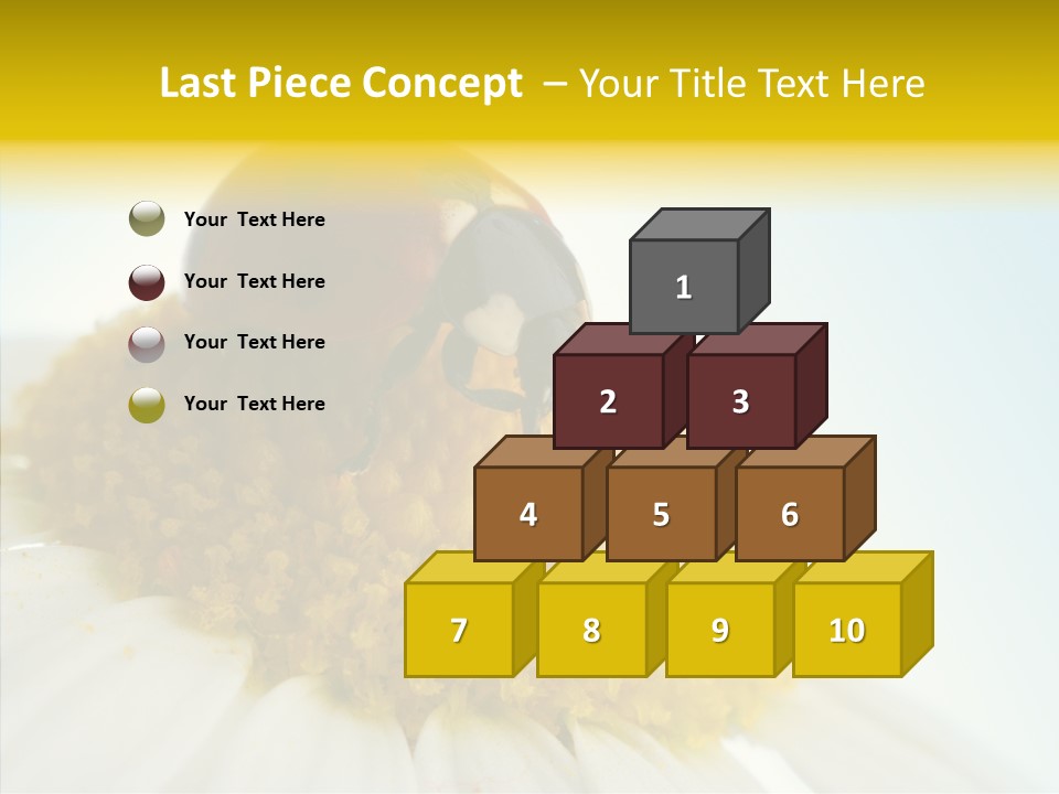 Nature Macro Colored PowerPoint Template