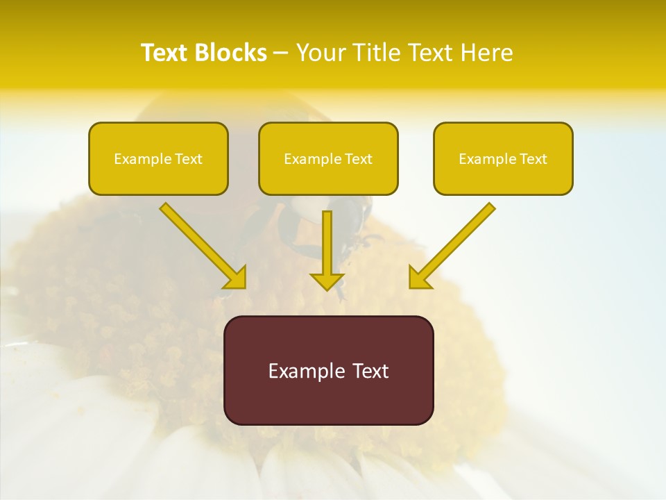 Nature Macro Colored PowerPoint Template