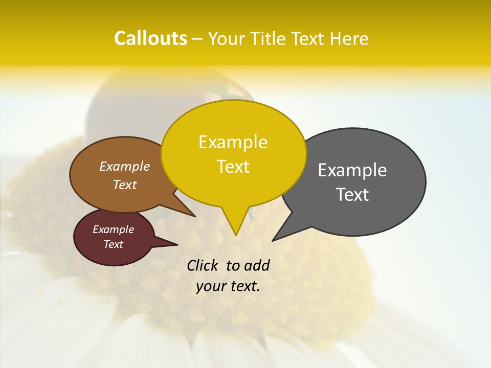 Nature Macro Colored PowerPoint Template