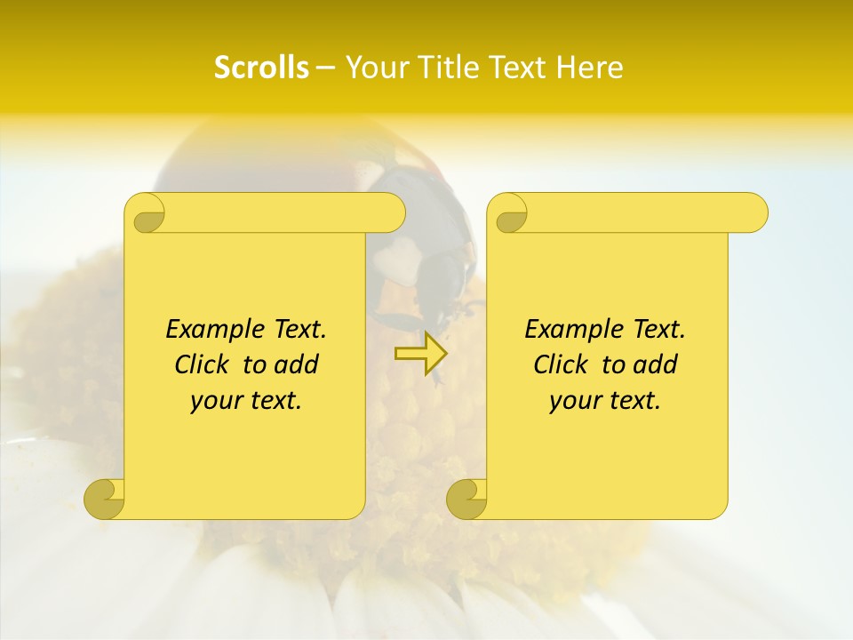 Nature Macro Colored PowerPoint Template