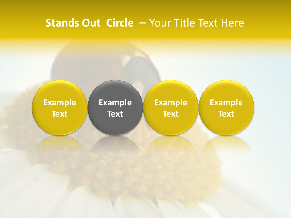 Nature Macro Colored PowerPoint Template