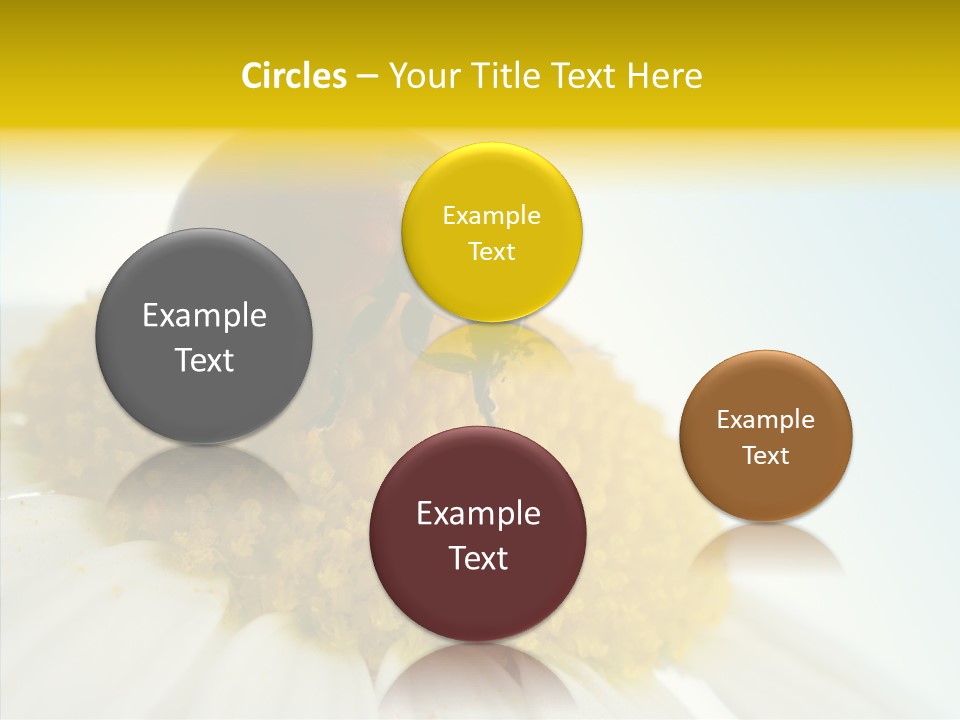 Nature Macro Colored PowerPoint Template