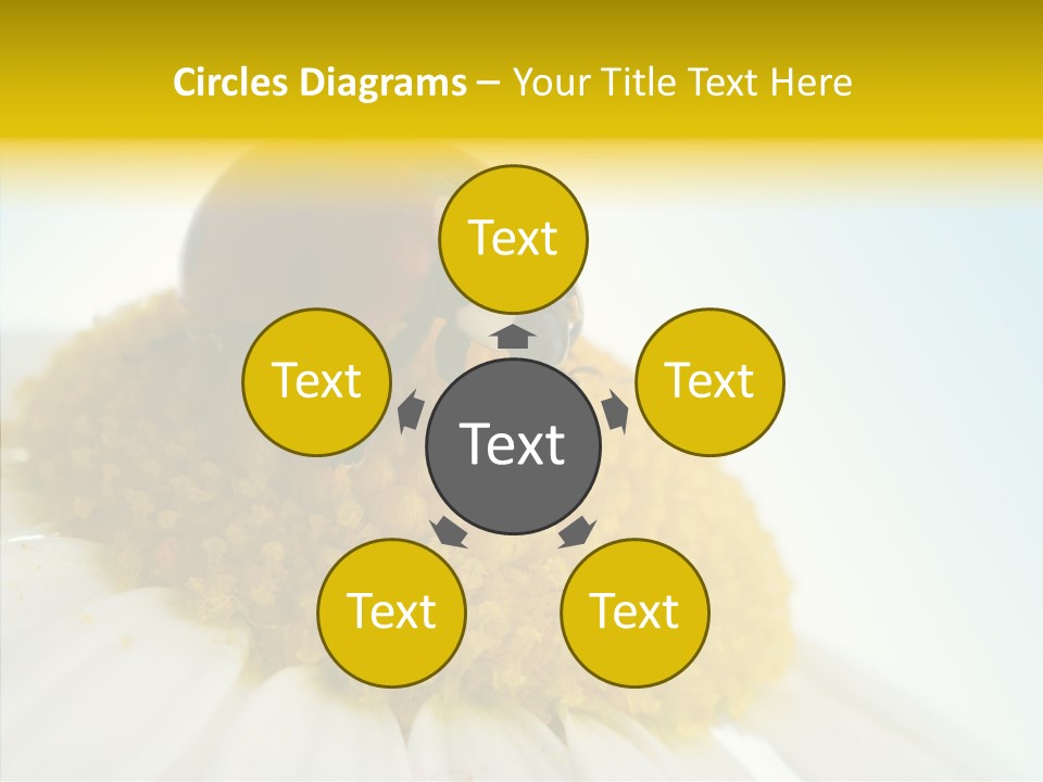 Nature Macro Colored PowerPoint Template