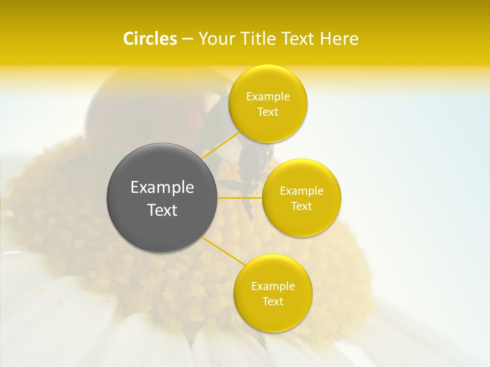 Nature Macro Colored PowerPoint Template