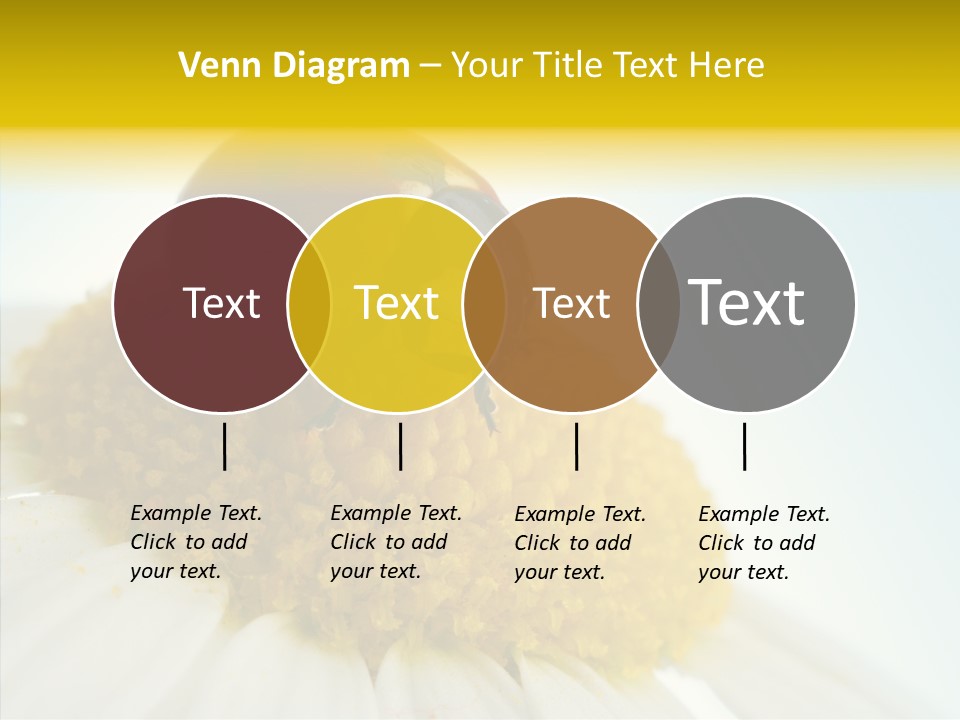 Nature Macro Colored PowerPoint Template