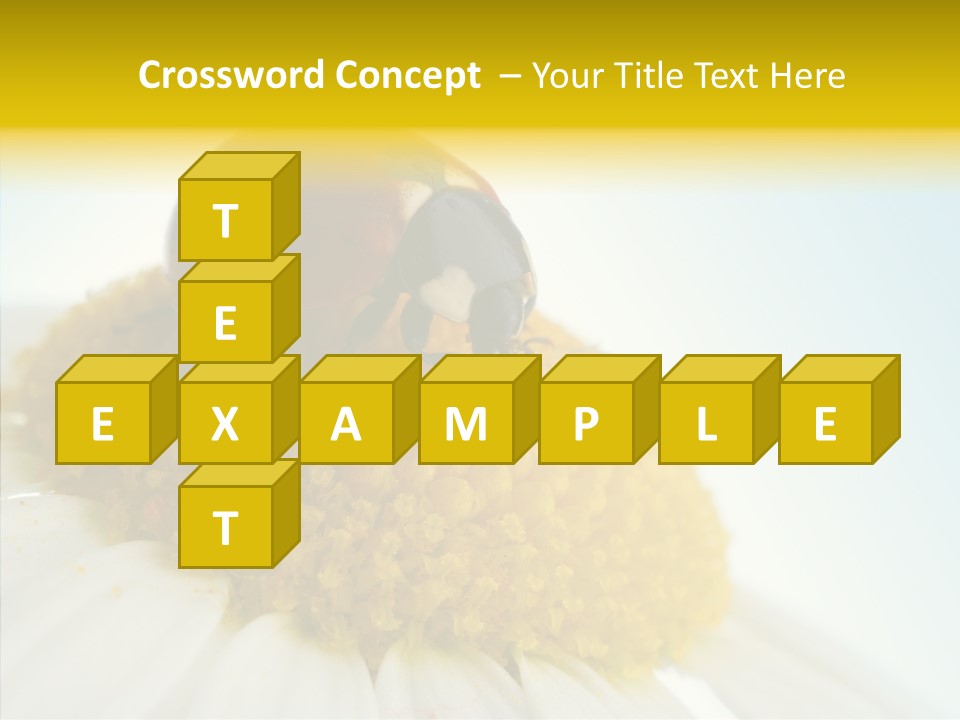 Nature Macro Colored PowerPoint Template