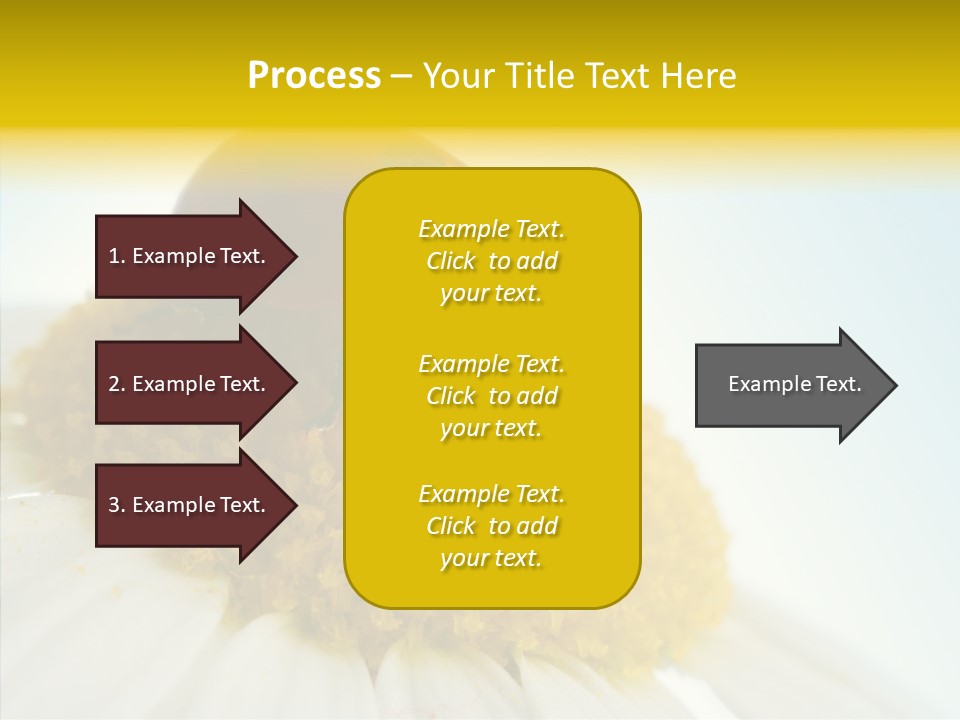Nature Macro Colored PowerPoint Template