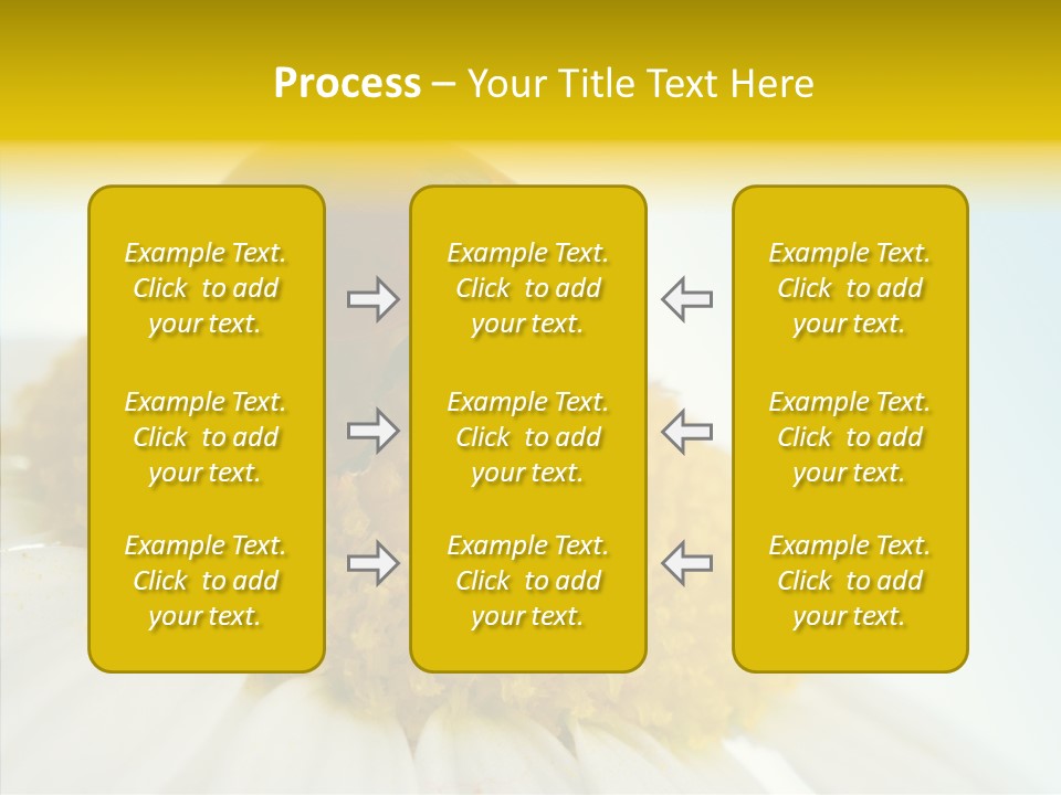 Nature Macro Colored PowerPoint Template