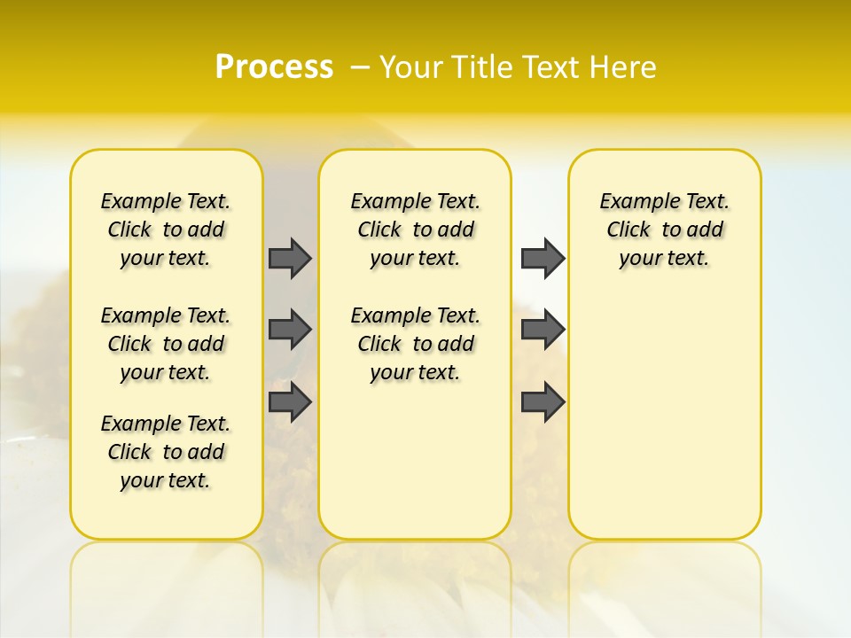 Nature Macro Colored PowerPoint Template
