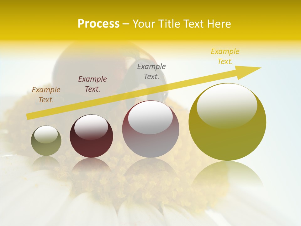 Nature Macro Colored PowerPoint Template