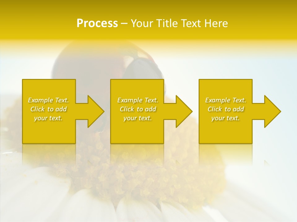 Nature Macro Colored PowerPoint Template