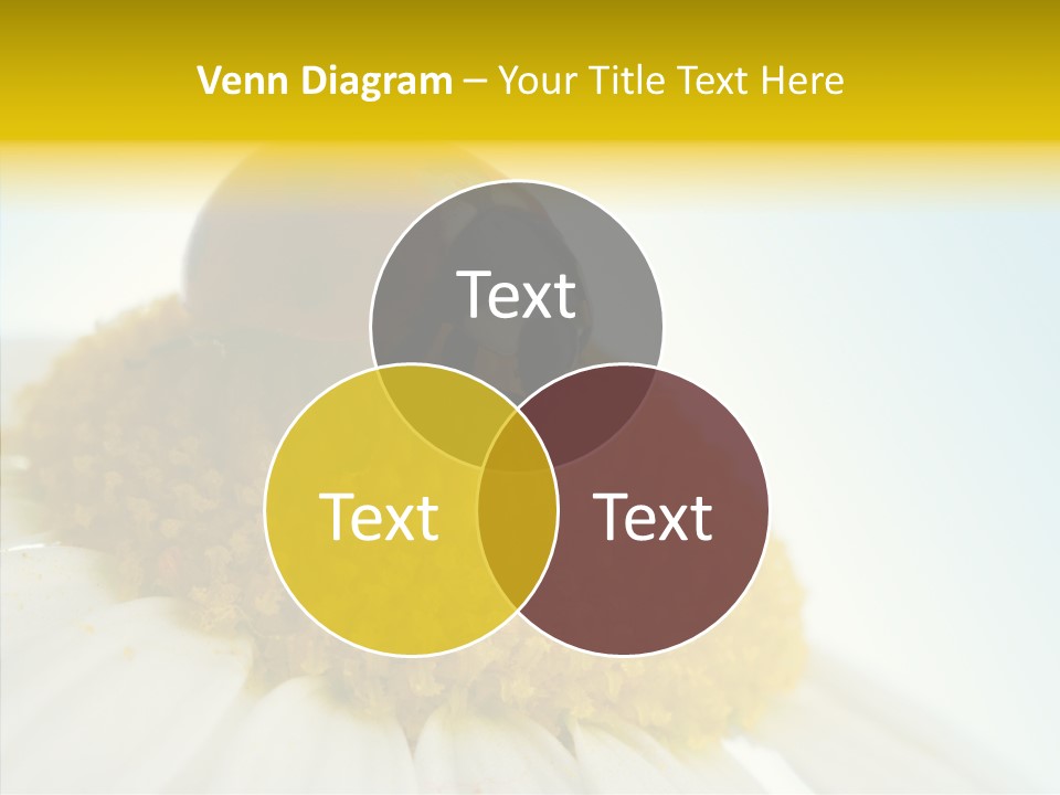 Nature Macro Colored PowerPoint Template