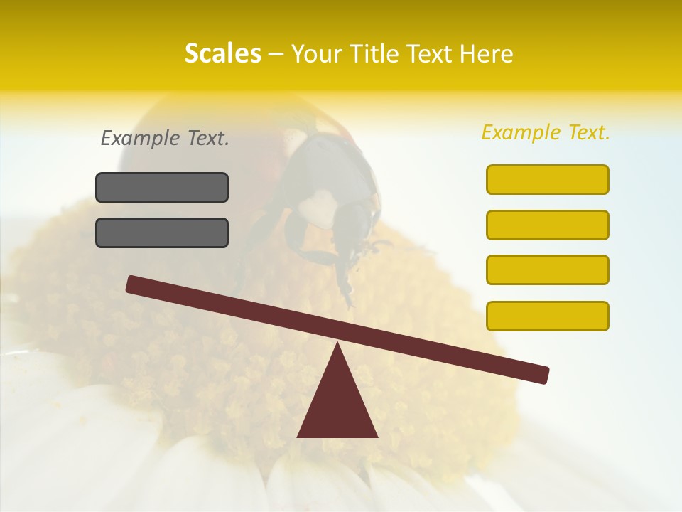 Nature Macro Colored PowerPoint Template