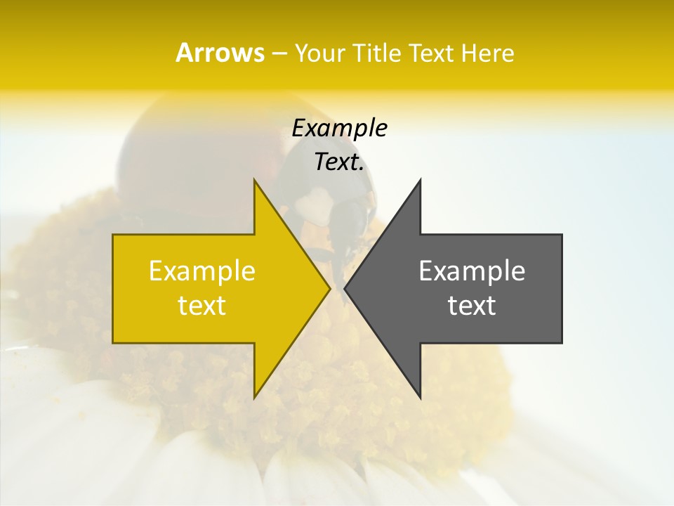 Nature Macro Colored PowerPoint Template