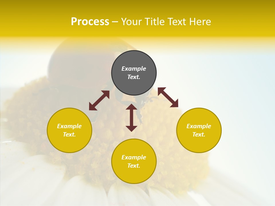 Nature Macro Colored PowerPoint Template