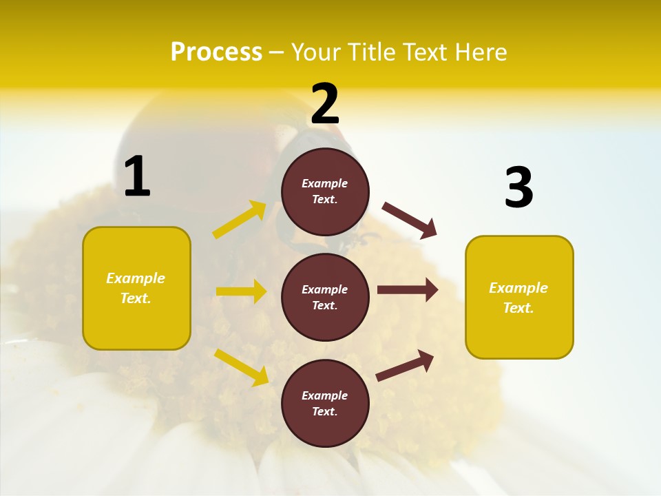 Nature Macro Colored PowerPoint Template