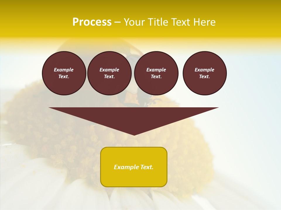 Nature Macro Colored PowerPoint Template