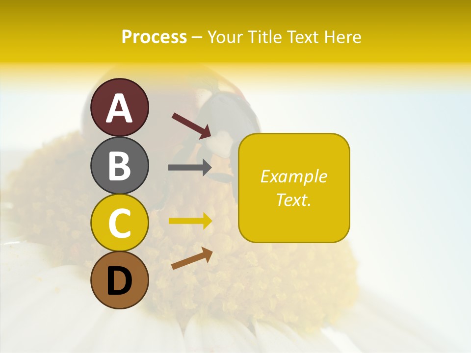 Nature Macro Colored PowerPoint Template