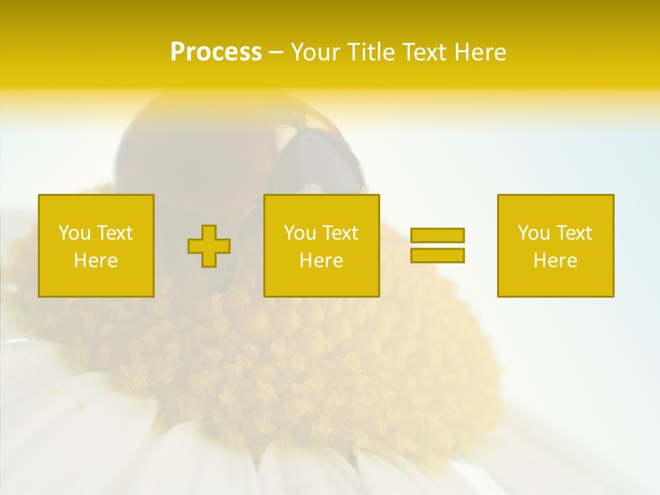 Nature Macro Colored PowerPoint Template