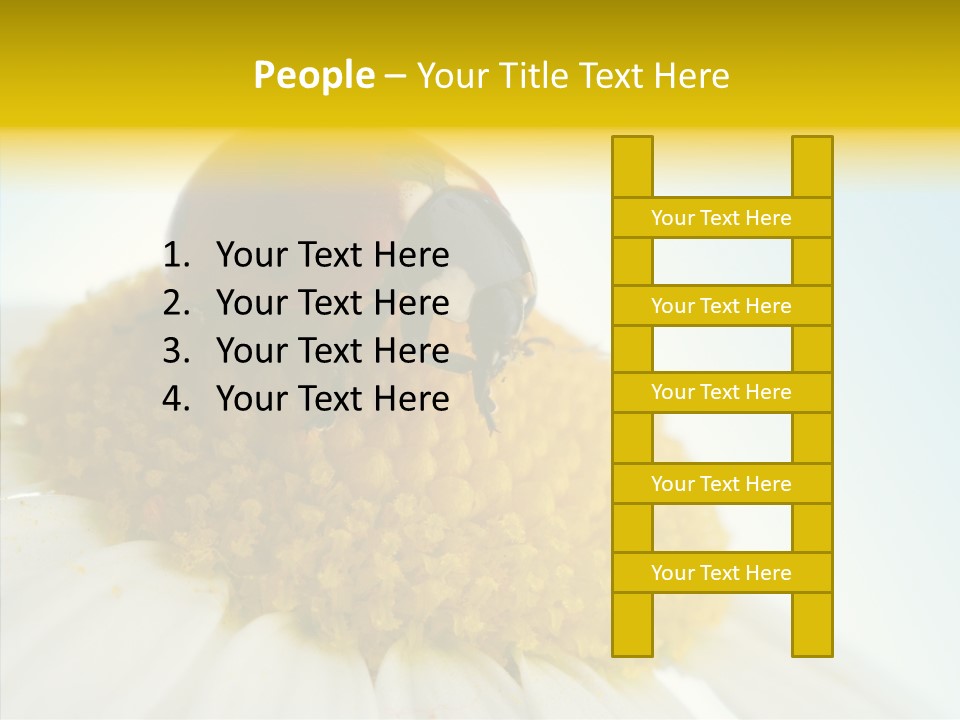 Nature Macro Colored PowerPoint Template