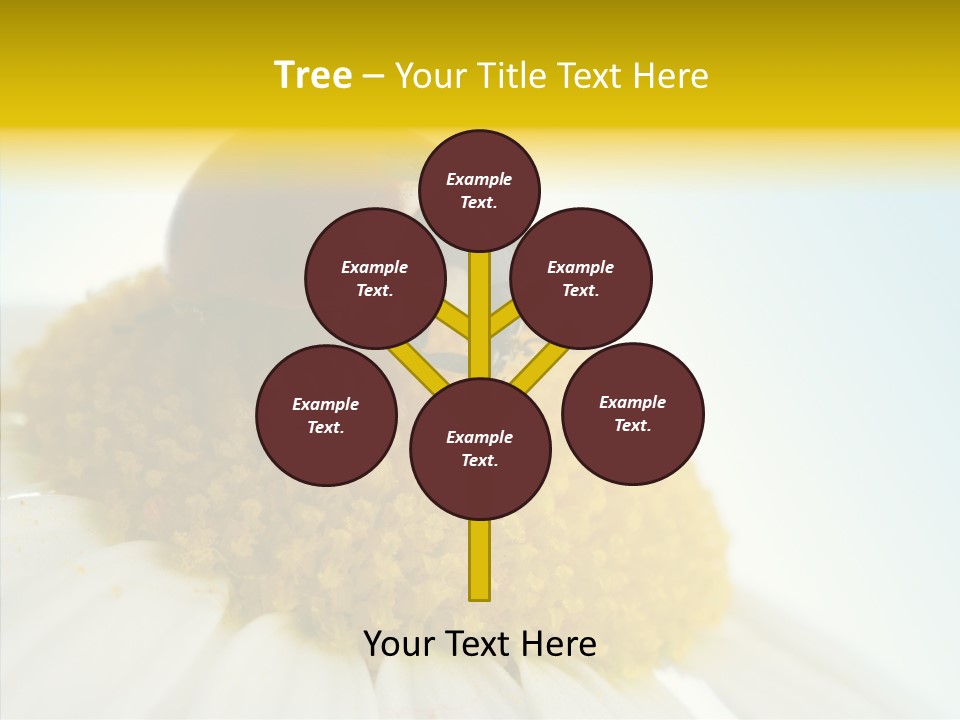 Nature Macro Colored PowerPoint Template