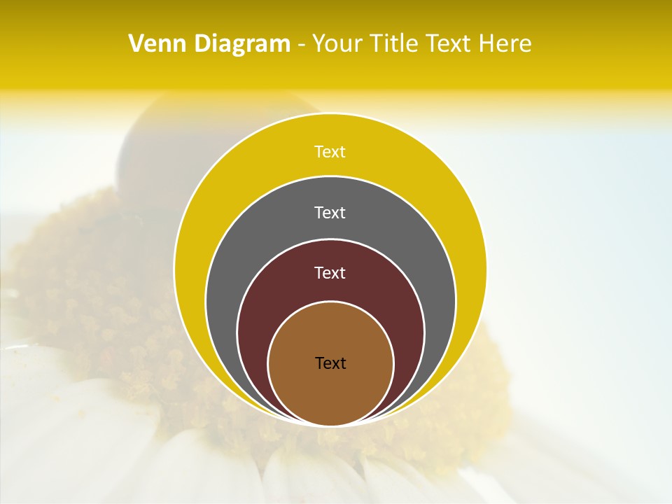 Nature Macro Colored PowerPoint Template