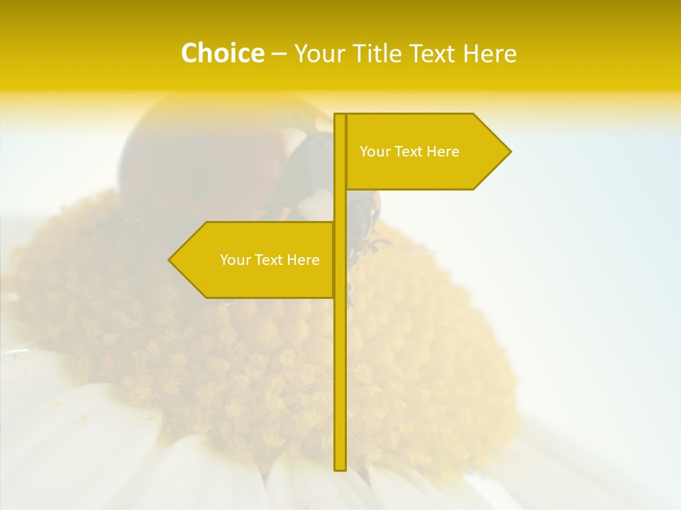 Nature Macro Colored PowerPoint Template