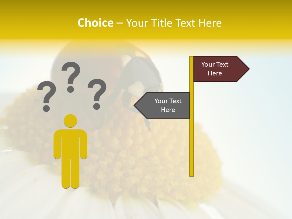 Nature Macro Colored PowerPoint Template