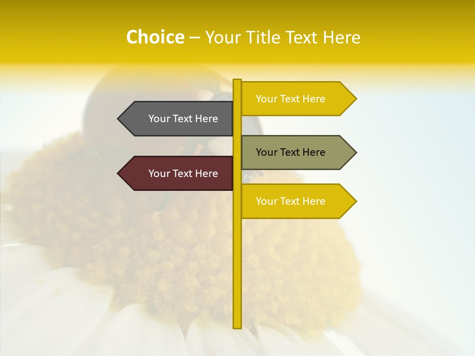 Nature Macro Colored PowerPoint Template