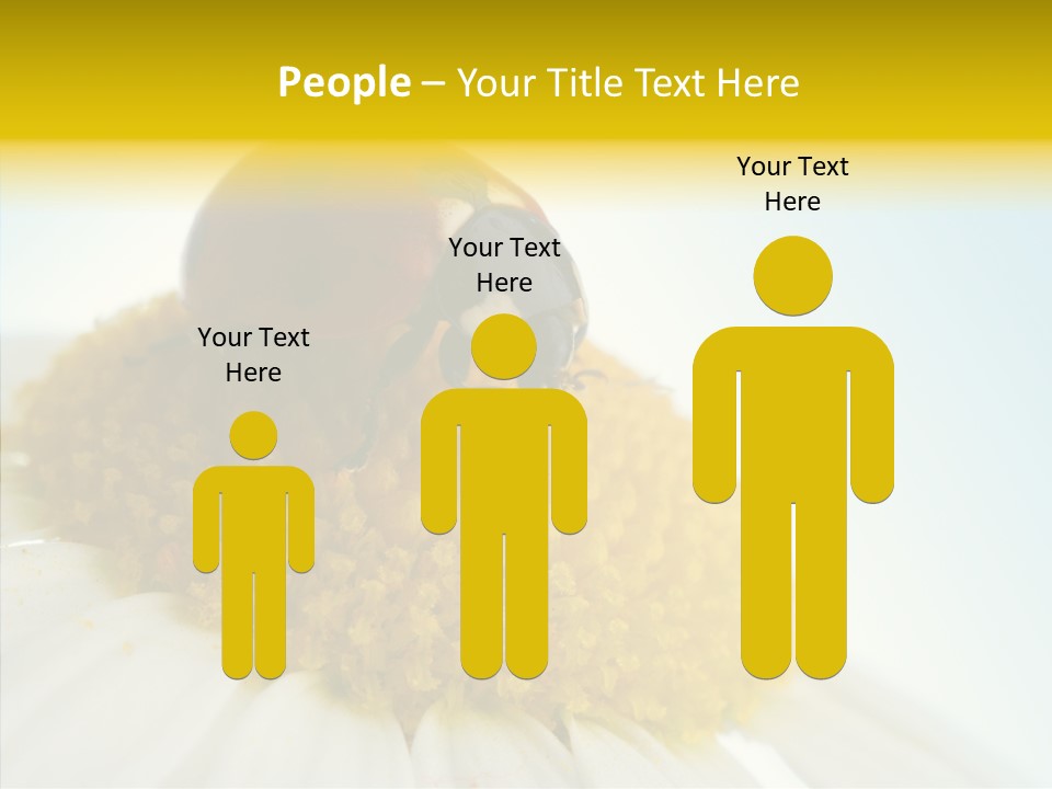 Nature Macro Colored PowerPoint Template