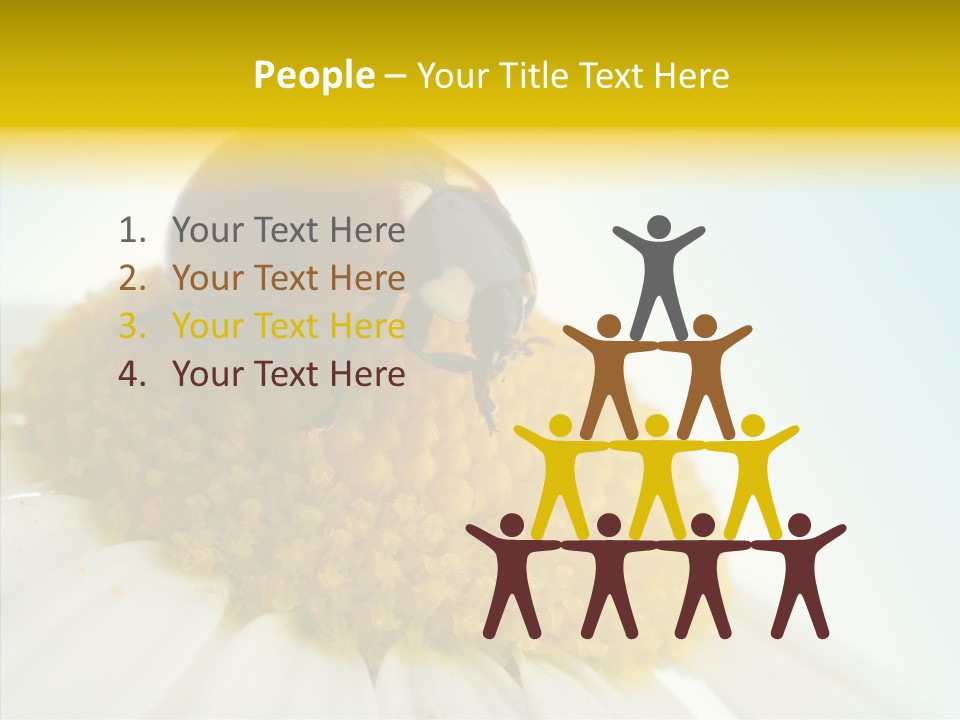 Nature Macro Colored PowerPoint Template