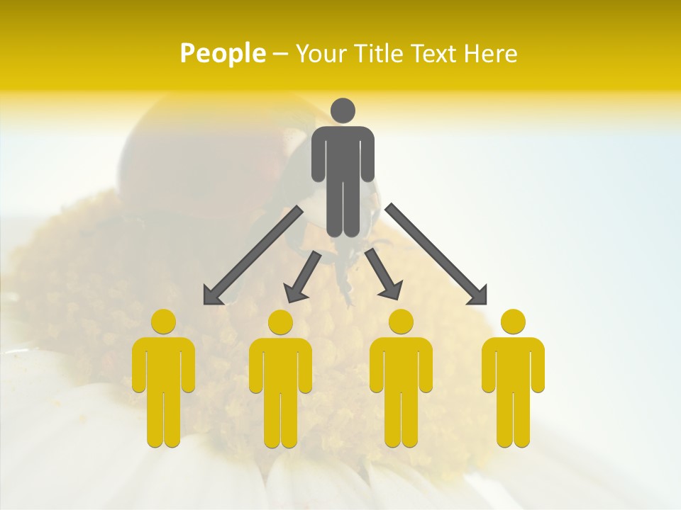 Nature Macro Colored PowerPoint Template