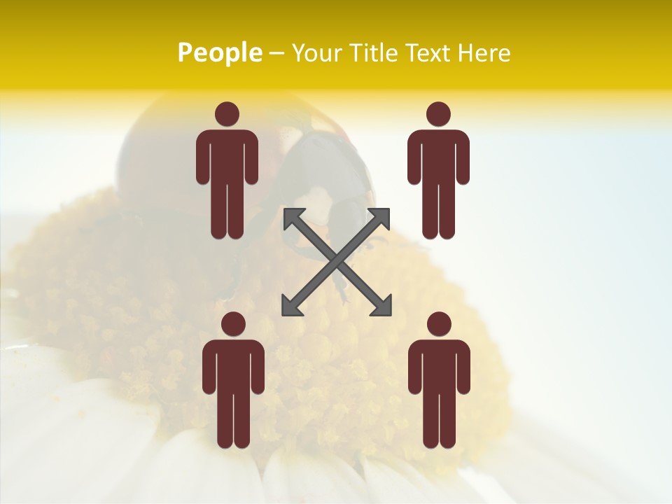 Nature Macro Colored PowerPoint Template